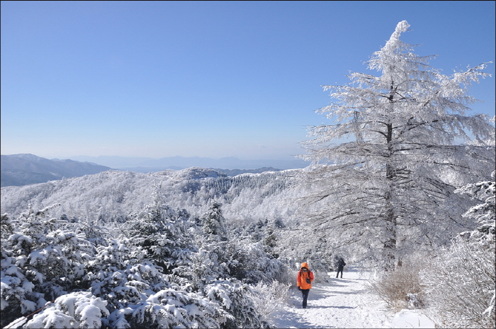 Фестиваль снежинок Парэбон в Намвоне в горах Чирисан (지리산 남원 바래봉 눈꽃축제)0