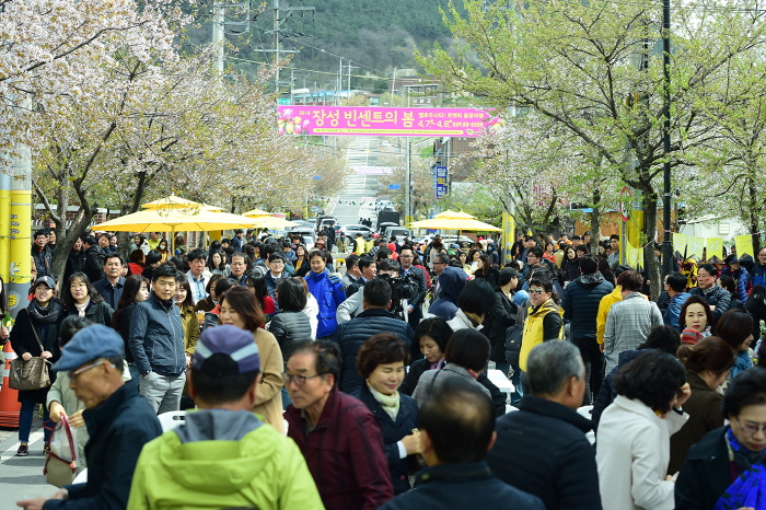 장성 빈센트의 봄 20193