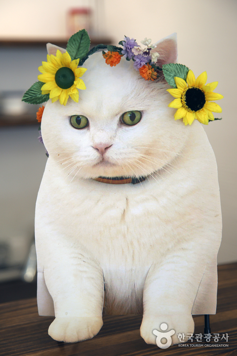 고양이책방 슈뢰딩거1