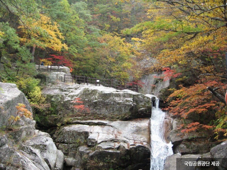 Национальный парк гор Одэсан (오대산국립공원)17