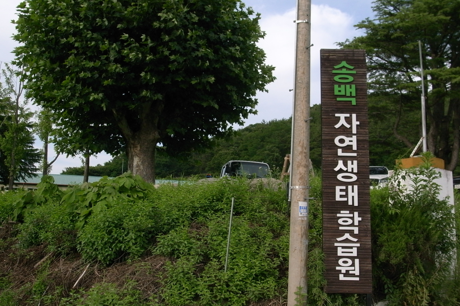 송백자연생태학습원