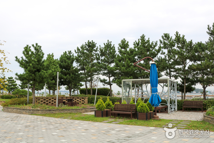 씨사이드파크하늘구름광장1