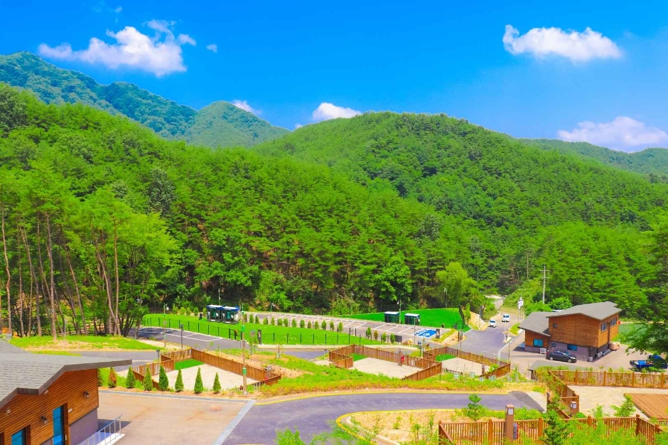 국립김천숲속야영장