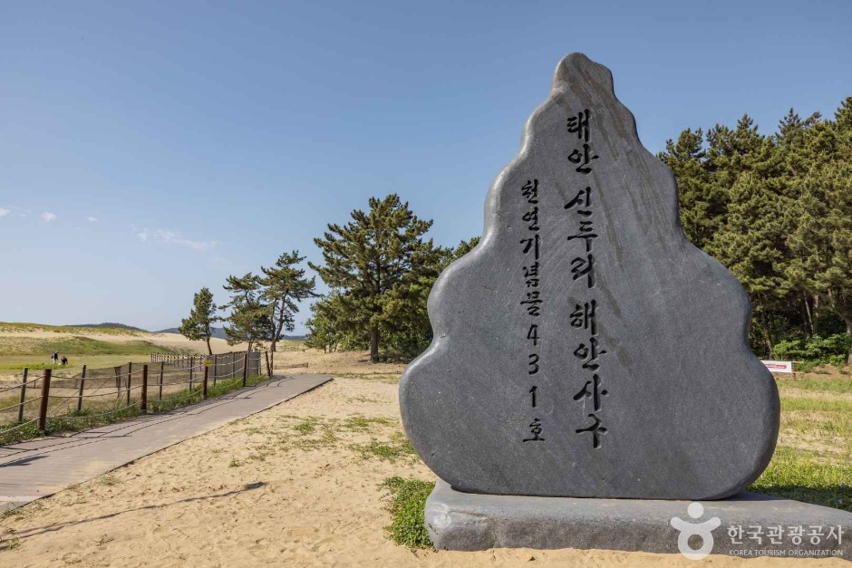 신두사구 쉼터공원(신두사구 생태공원)