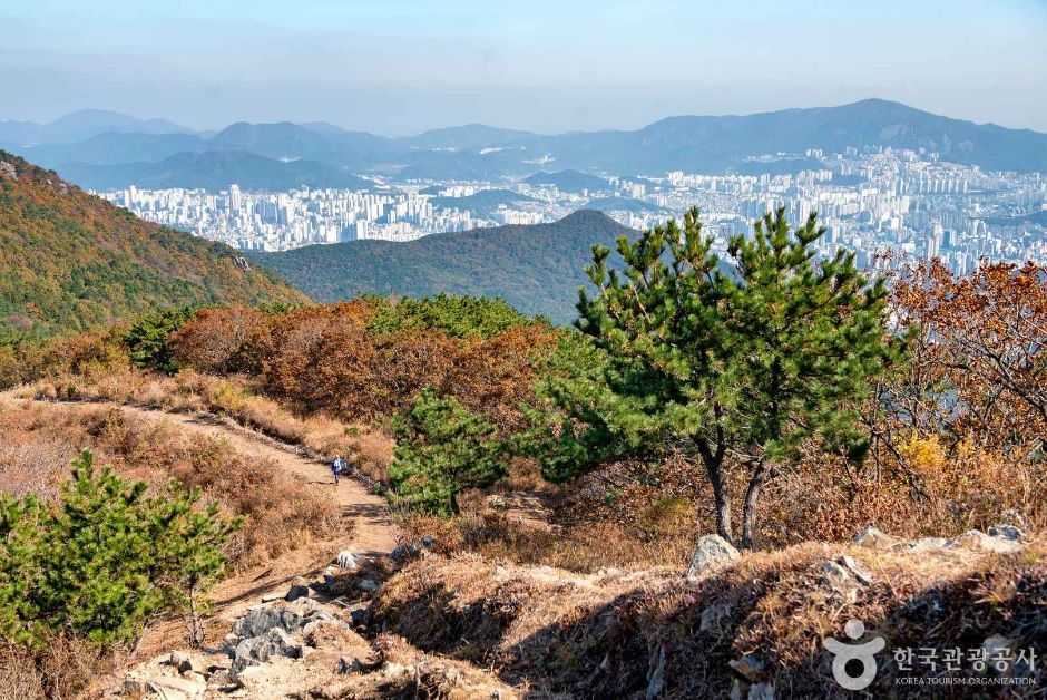 백양산 (부산 국가지질공원)