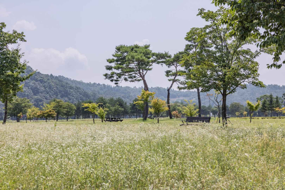 擎天島（擎天島公園）（경천섬（경천섬공원））