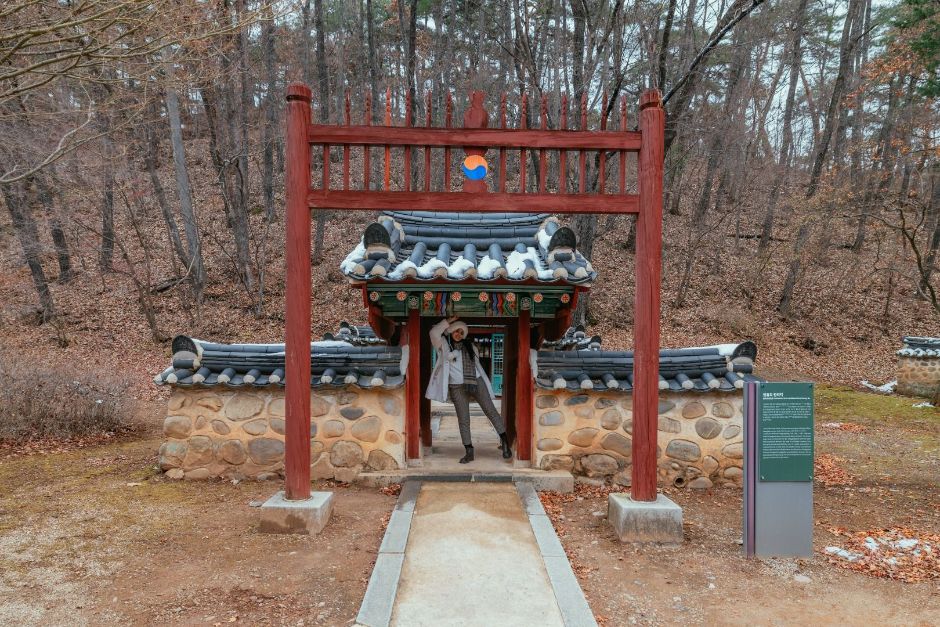 영월 겨울빛&불꽃축제