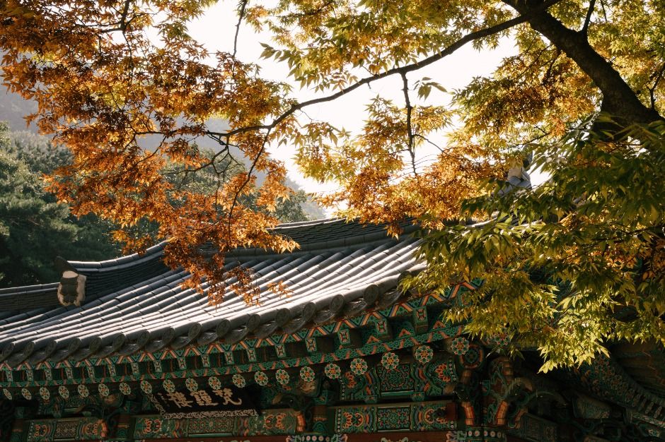 호압사(서울)