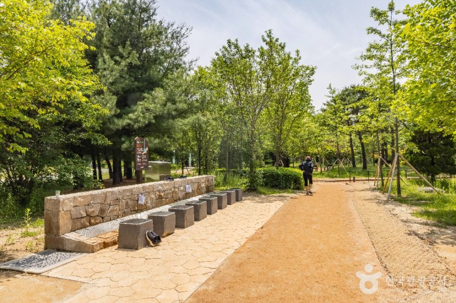 청주_문암생태공원 (10)