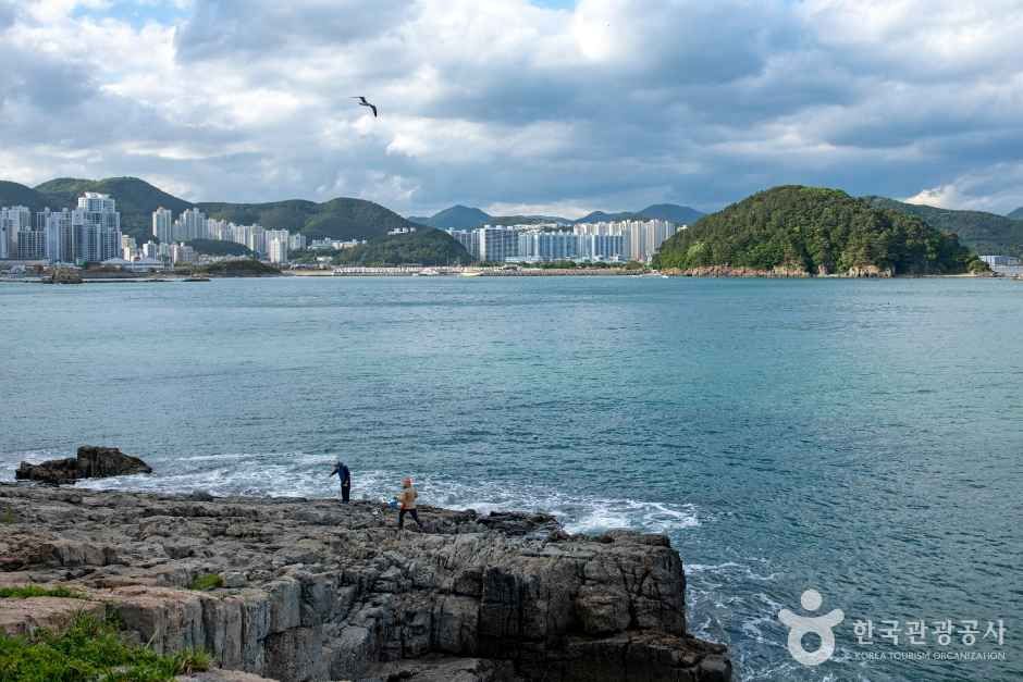 몰운대(부산)