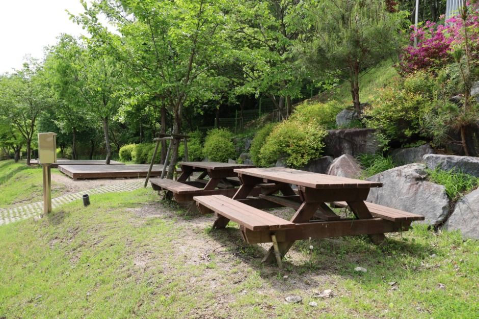 팔공산국립공원 도학야영장