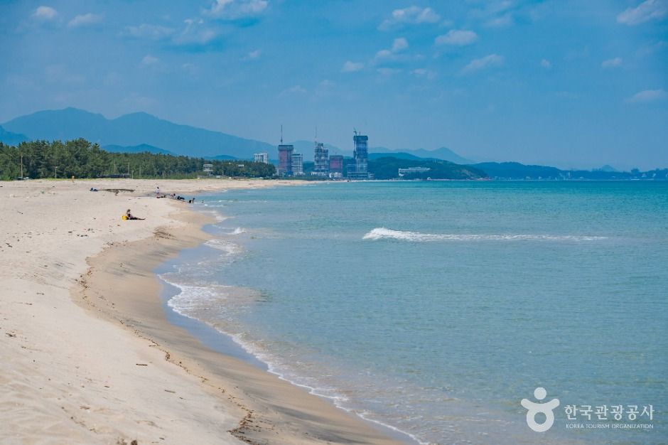 송전해수욕장