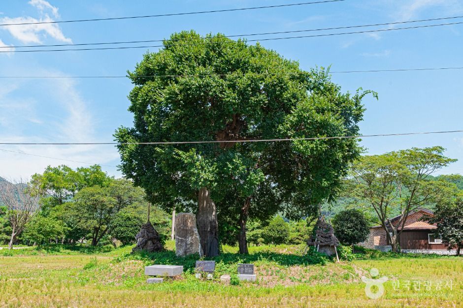 부안_우동리당산 (5)
