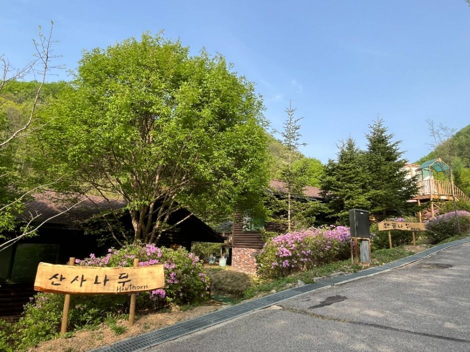춘천숲자연휴양림