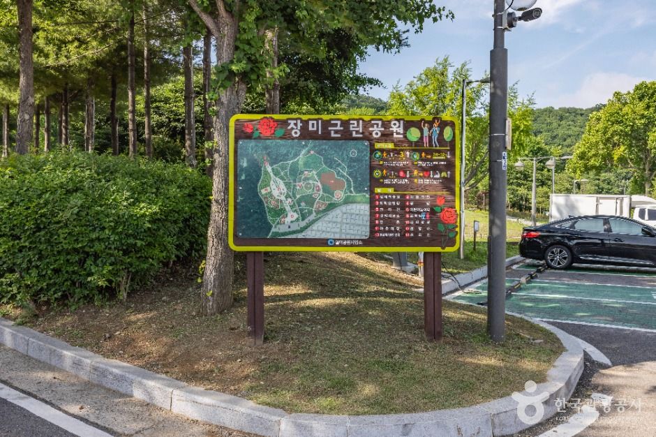 thumbnail-장미공원-24