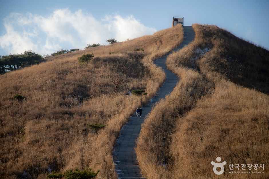 황매산 군립공원