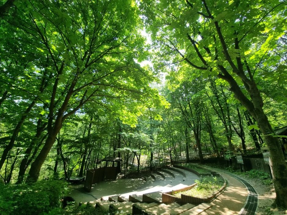 [서울둘레길 9코스] 대모·구룡산코스