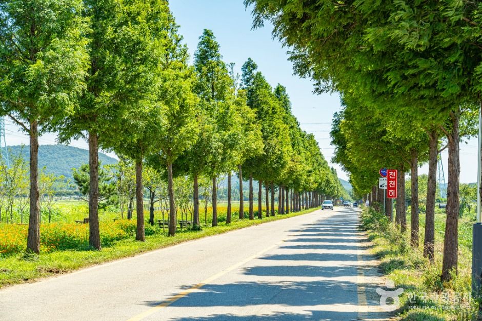 thumbnail-대부바다향기테마파크-7