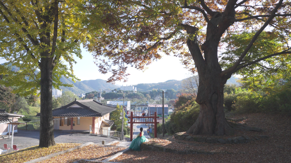 괴산_괴산향교 (4)