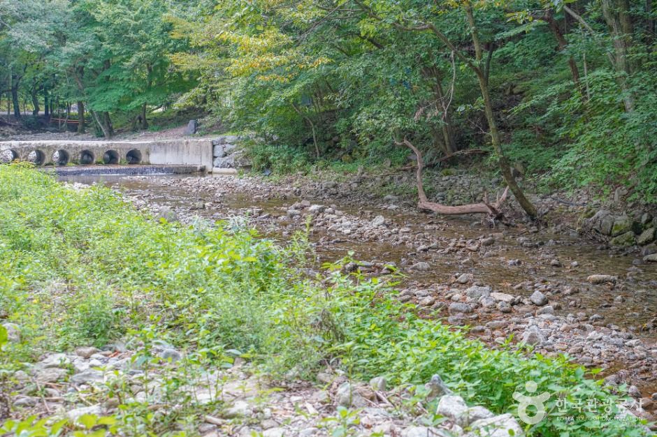 용흥사계곡