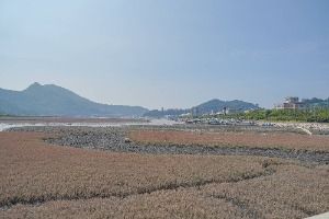 영광_법성포 (5)