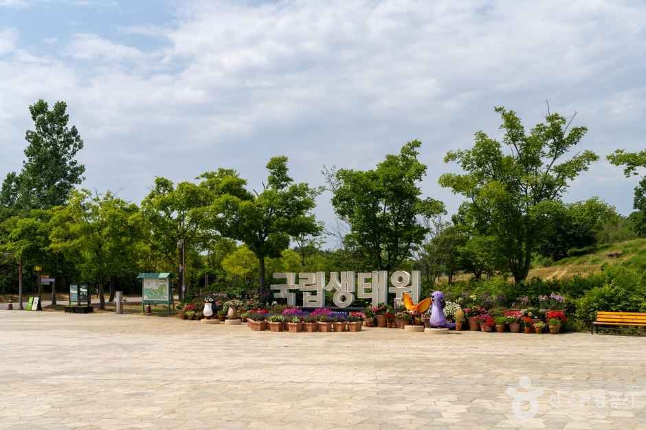 국립생태원(서천)