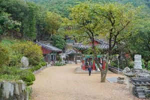 부산_선암사(부산) (1)