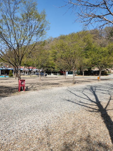 영천_늘푸른체험학교 캠핑장 (3)
