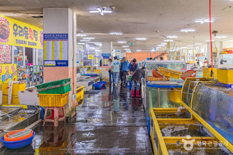 고성_봉포항활어회센터 (3)