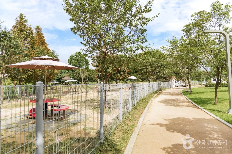 기흥레스피아호수공원 반려동물놀이터