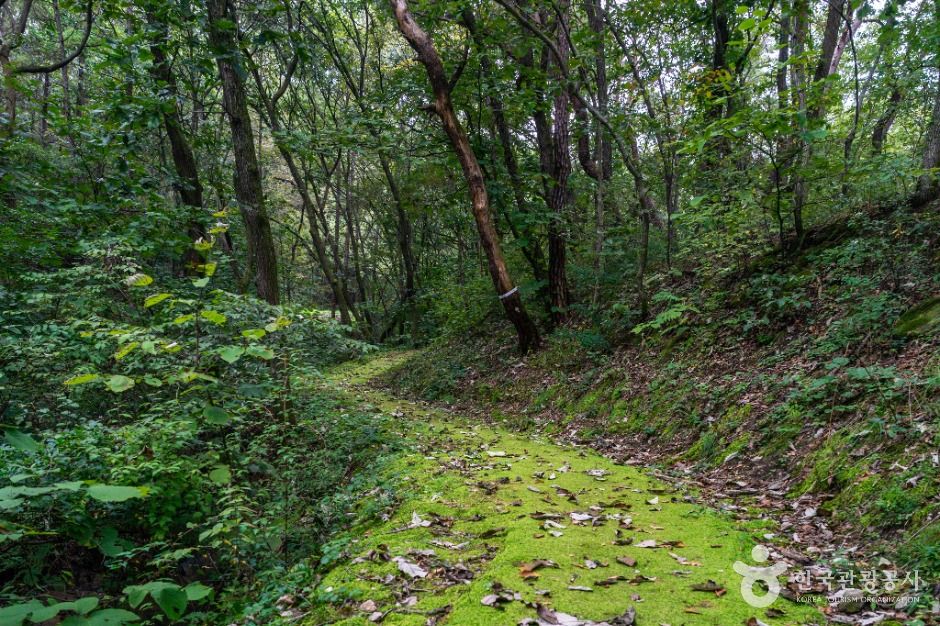 충주_청룡사지 (2)