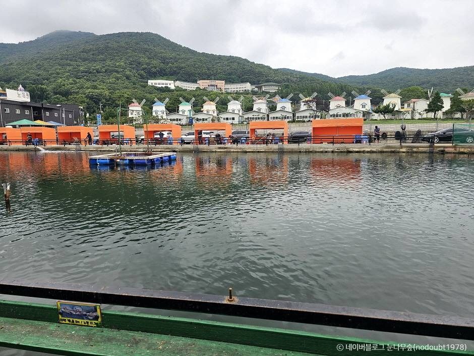 선두바다낚시터