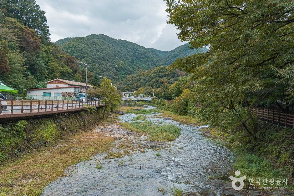 thumbnail-정읍 내장산 관광특구-5