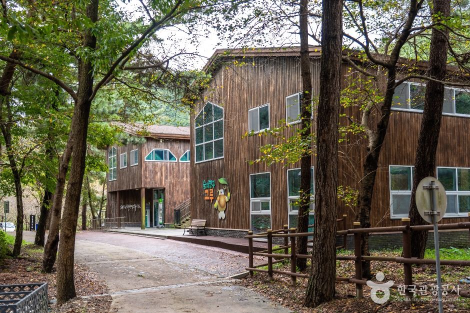 국립 희리산해송자연휴양림