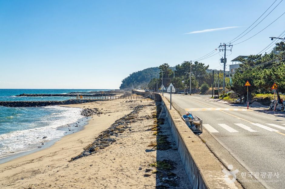 울진_울진 해안도로 (2)