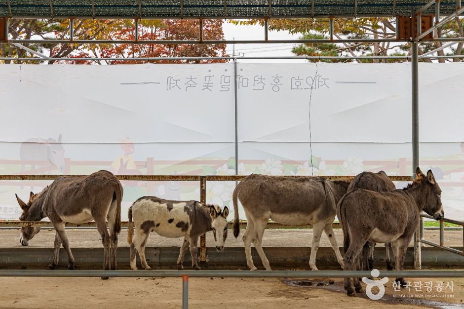 thumbnail-홍천동키마을-5