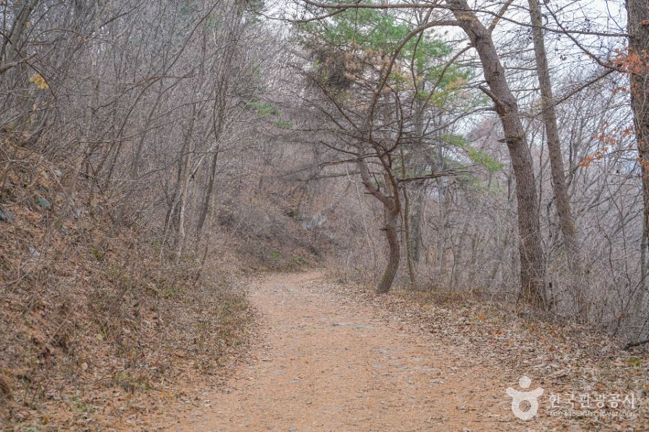 엑스라이프(X-LIFE)