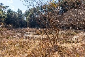 합천_내천못재 (4)