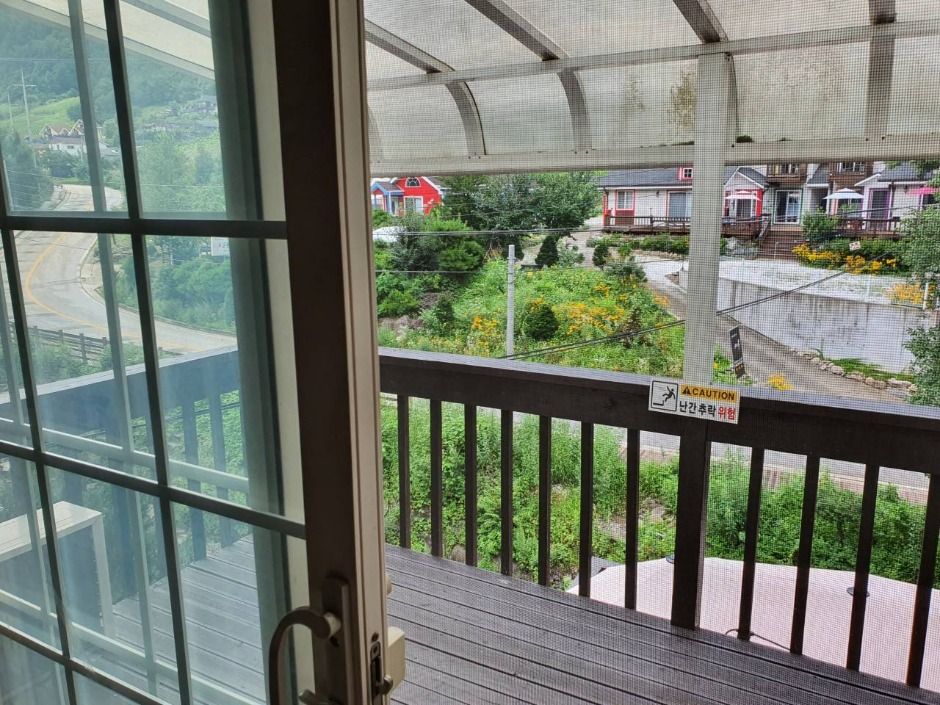 정선_흙과소나무 (1)