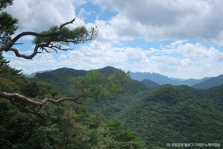 thumbnail-도명산-1