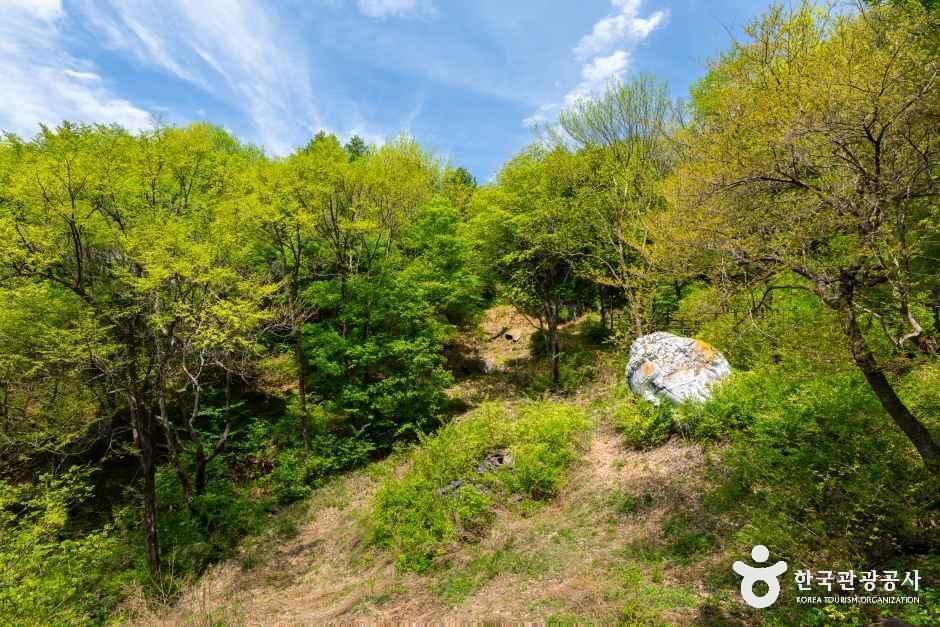 thumbnail-설매재자연휴양림-12