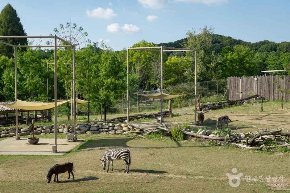 thumbnail-전주동물원-11
