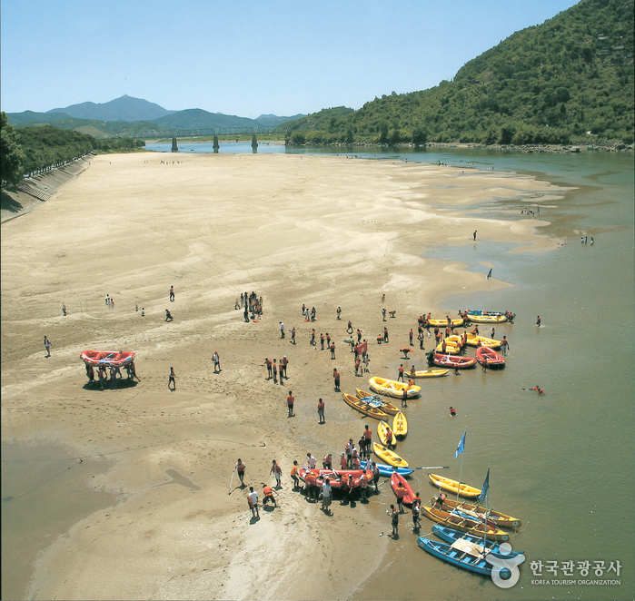 Hadong Wild Tea Cultural Festival (하동 야생차문화축제)
