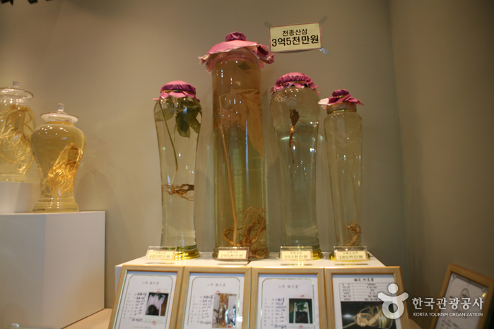 Geumsan Ginseng Museum (금산인삼관)
