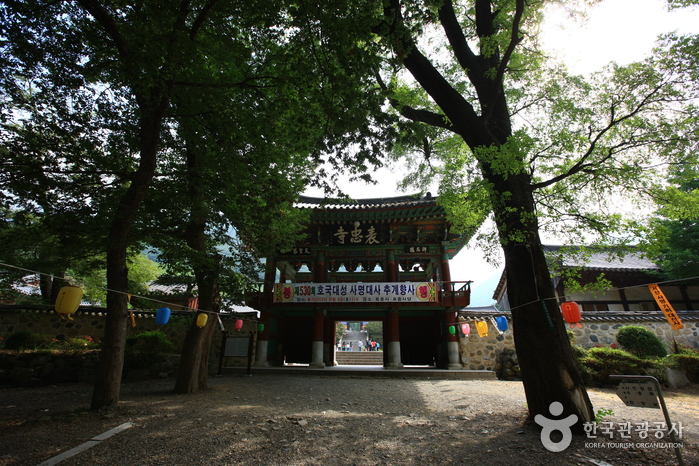 표충사(밀양) 사진20
