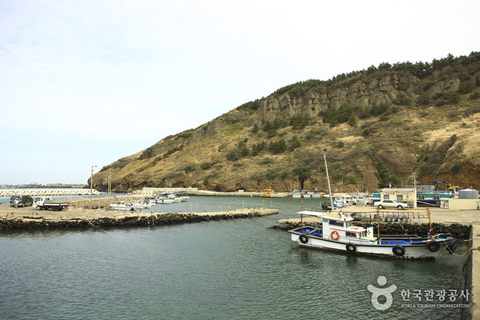 [제주올레 12코스] 무릉-용수 올레8