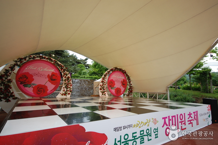 Seoul Grand Park (서울대공원-서울동물원)