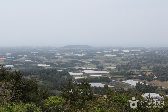 [제주올레 13코스] 용수-저지 올레3