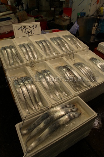 Noryangjin Fisheries Wholesale Market (노량진수산시장)