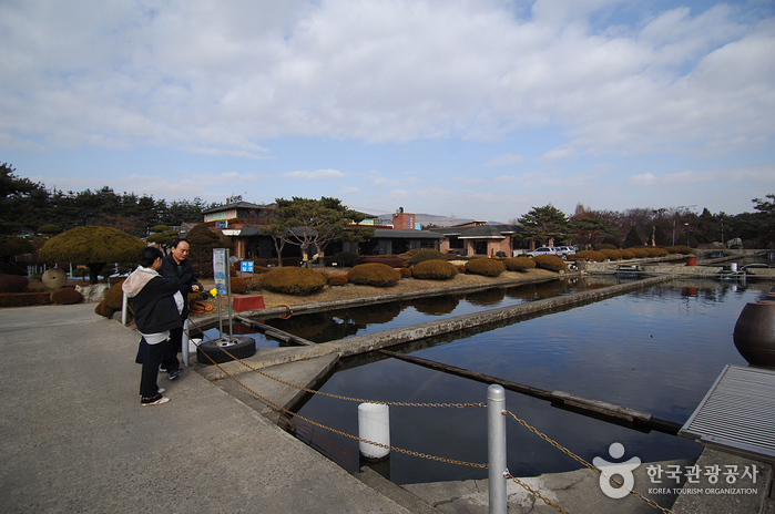 임진강폭포어장2